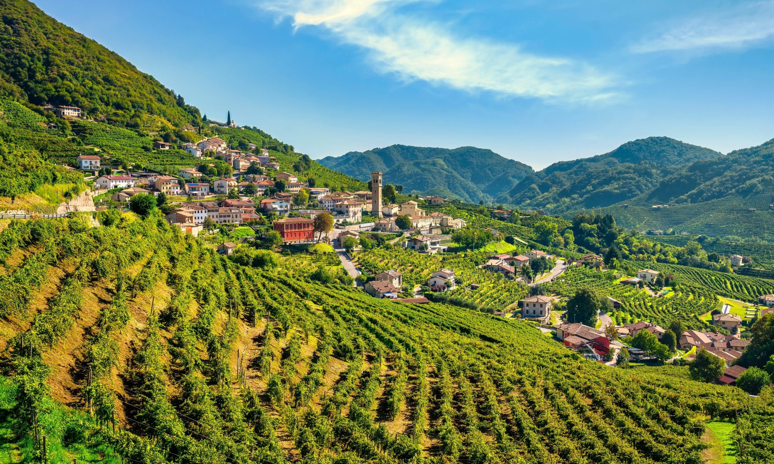 Prosecco vinice Valdobbiadene